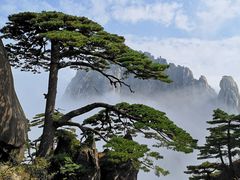 -黄山风景区