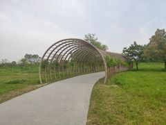 -良渚文化村