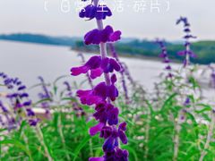 -三岔湖景区