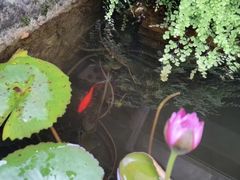 -海窝子古镇