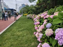 -北外滩滨江绿地