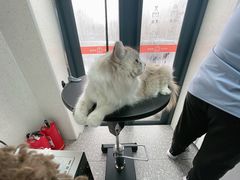 -宠物家(角门东店)