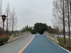 -眉山湿地公园(东坡区)