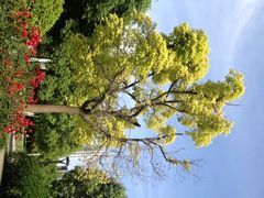 iphone_upload_pic-苏州河梦清园环保主题公园