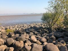 -上海吴淞炮台湾国家湿地公园