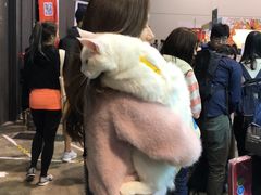 -香港会议展览中心演讲厅