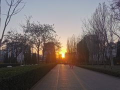 -廊坊文化艺术中心