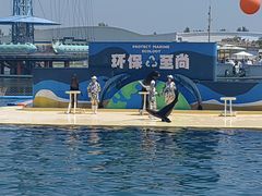 -秦皇岛乐岛海洋王国