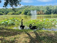 -福建鲤鱼洲酒店