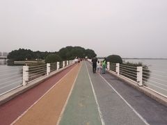 -贡湖湾湿地公园
