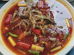 -晶泽丽琅·鱼鲜川菜(川师店)