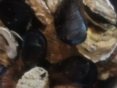 -宾朋海鲜特色美食餐厅·纯手工鲅鱼水饺(兴海路店)