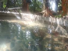 -云涛森林温泉