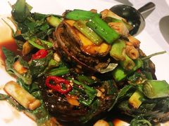 -欣叶食艺轩