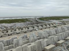 -南汇嘴观海公园