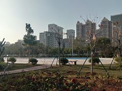 -中澳友谊花园