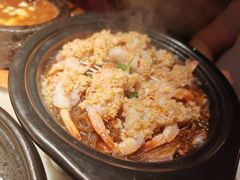 -佬肥猫(国华广场店)