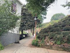 -西湖风景区十里琅珰-五云山