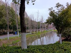 -皇粮浜湿地公园