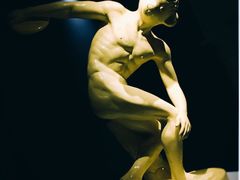 -成都泰迪熊博物馆