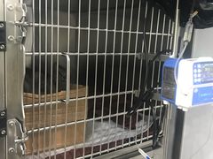 -佳雯宠物医院(金华南路分院)