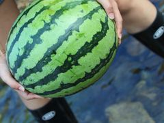 -MOJ coffee(瓯海泽雅水碓坑店)