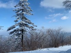 -亚布力新体委滑雪场
