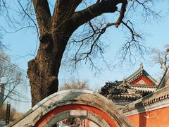 -北京艺术博物馆(万寿寺)