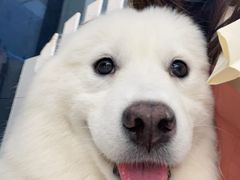 -怪兽屋·羊驼·猫咖·狗咖(俊华广场店)