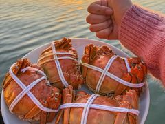 -品鲜村农家菜·阳澄湖大闸蟹(总店)