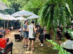 -Fern Forest Cafe