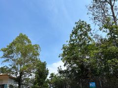 -马峦山郊野公园
