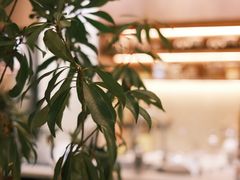 -E SPECIAL COFFEE 别样