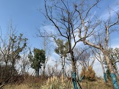 -广富林郊野公园