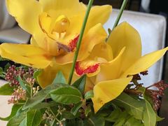 -皇朝会.经典传统粤菜(外滩店)