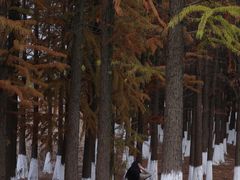 -艾溪湖湿地公园