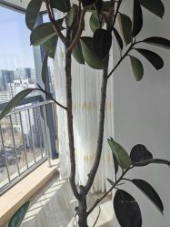 -HEYAN荷妍专业脱毛连锁机构