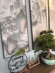 -凡碧诗毛孔清洁收细