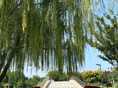 -雪枫公园