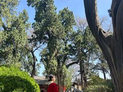 -韩城古城