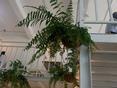 -CHILLAX轻乐时(侨建·Hi City店)