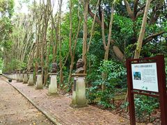 -广东茂名森林公园