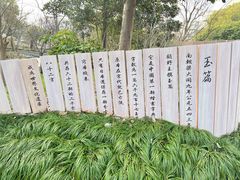 -亭林公园