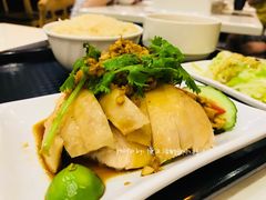 沙姜鸡饭-尚轩·海南鸡饭