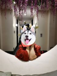 -盘子女人坊古装写真摄影(天津总店)