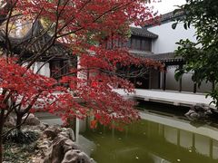 -秋霞圃