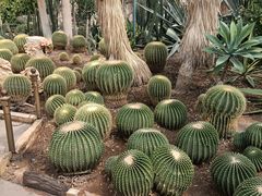 -北京植物园-展览温室