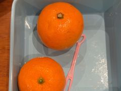 -水木谷养生水汇