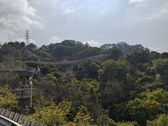 -福道