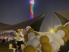 -二沙岛艺术公园
